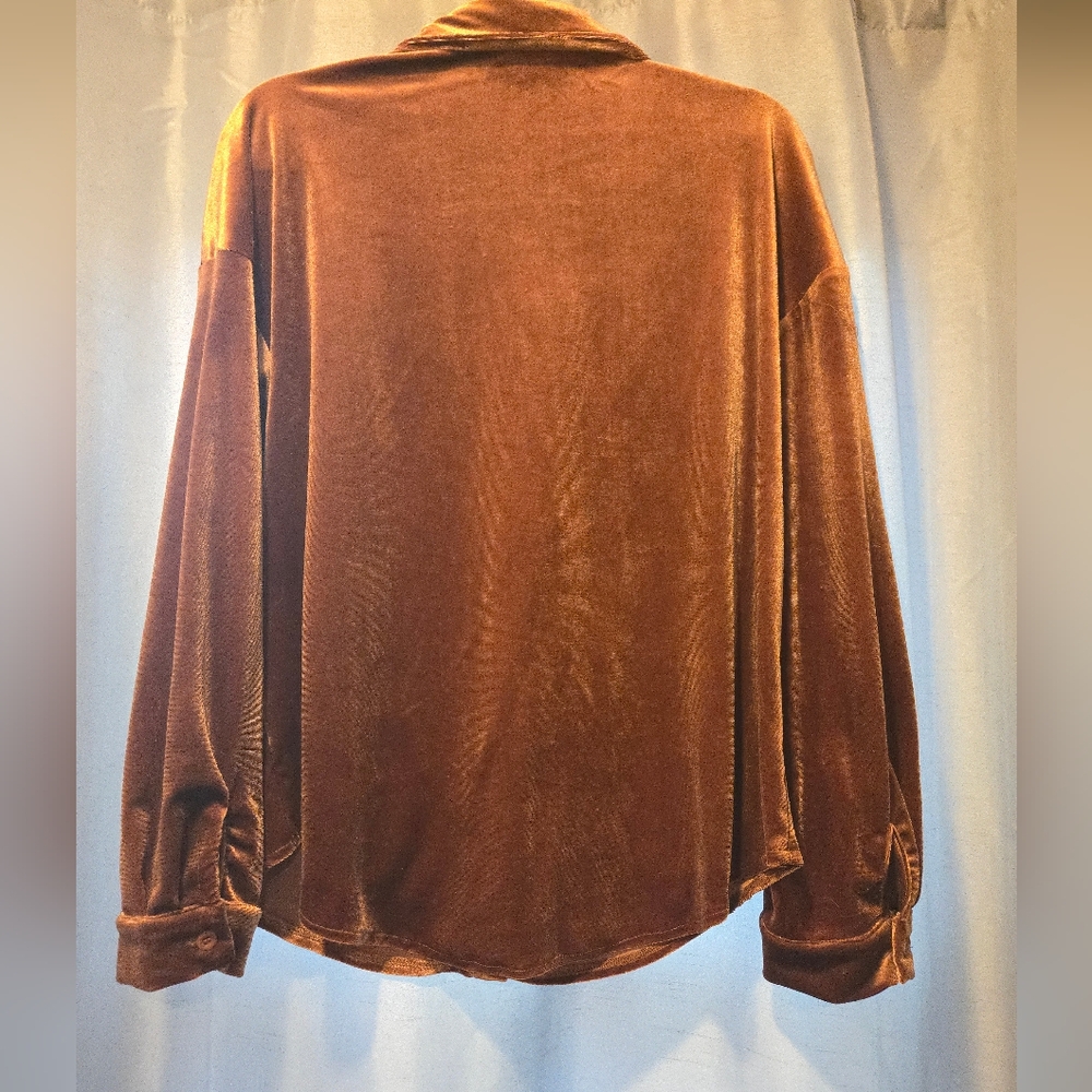 Copper Velvet Button-Down Shirt - Picture 5 of 6